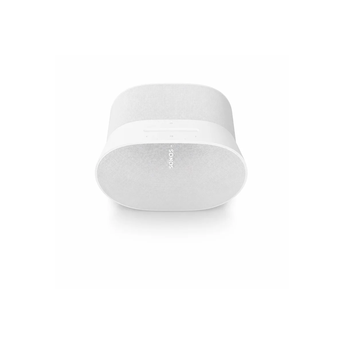 Sonos Era 300 product view